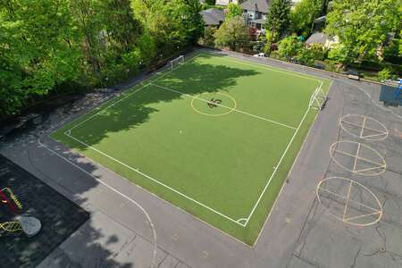 Field - Turf