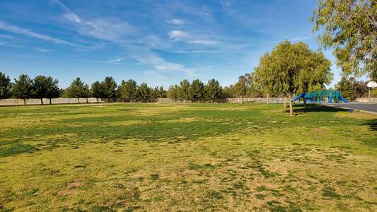 Field - Baseball Backstop