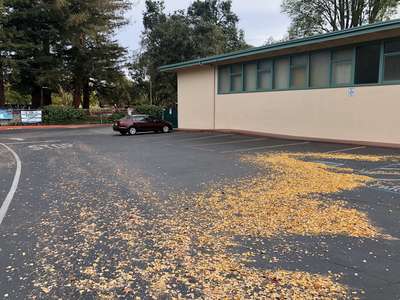 Parking Lot (Rented by Space)