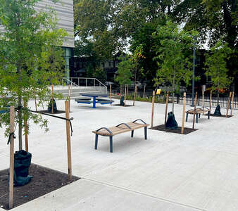 Cassidy - Lewis Cochran Cassidy Site Outdoor Area in Philadelphia