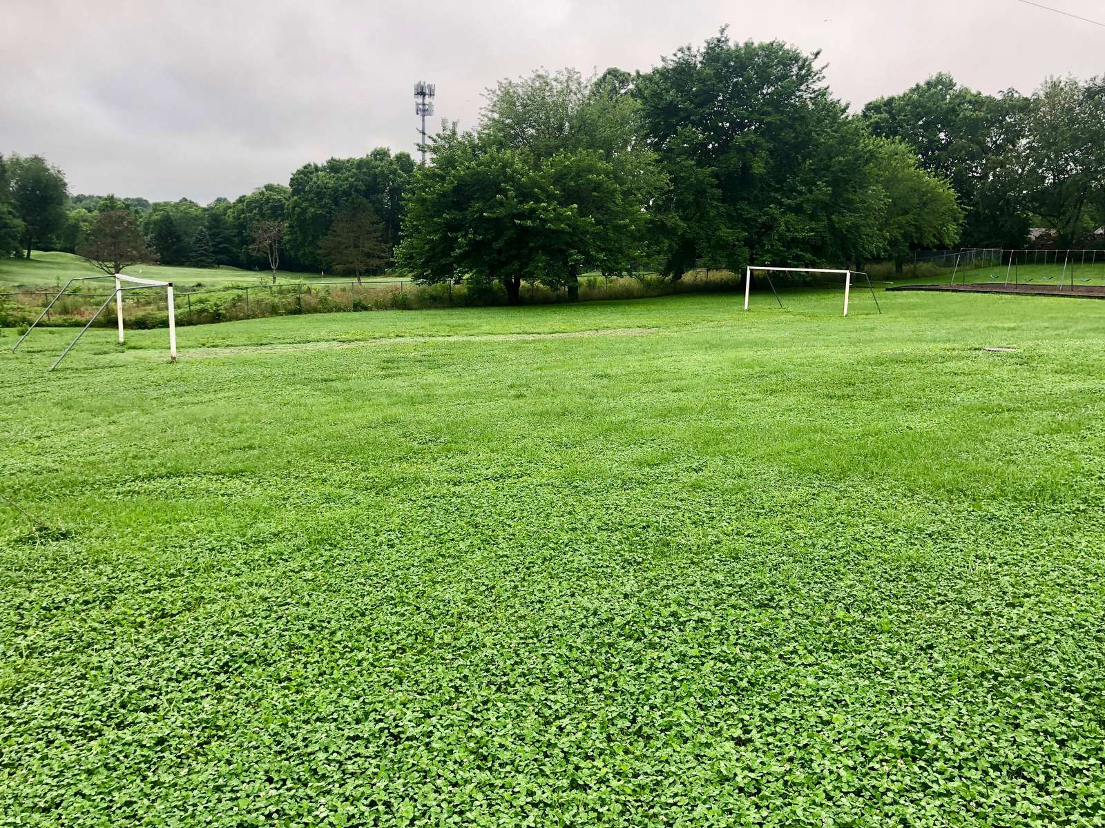 Rent a Field (Small) in Lexington KY 40517