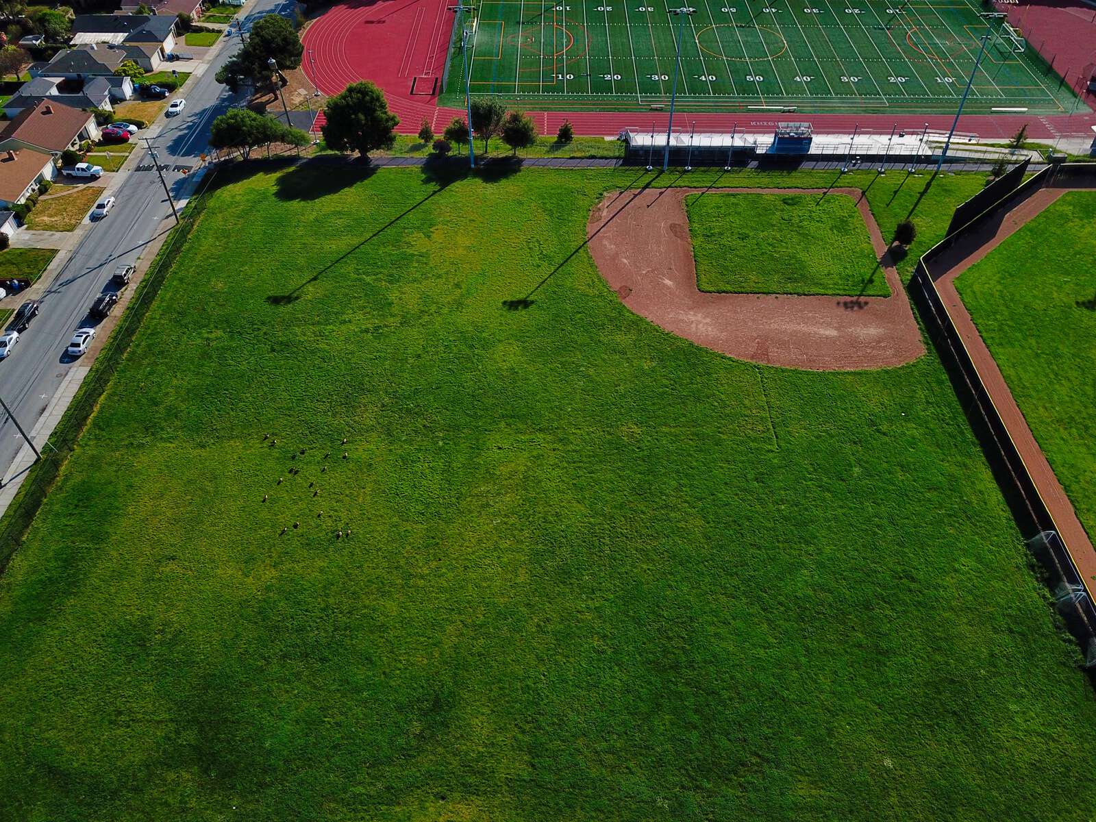 Rent a Field (Practice) in San Mateo CA 94403