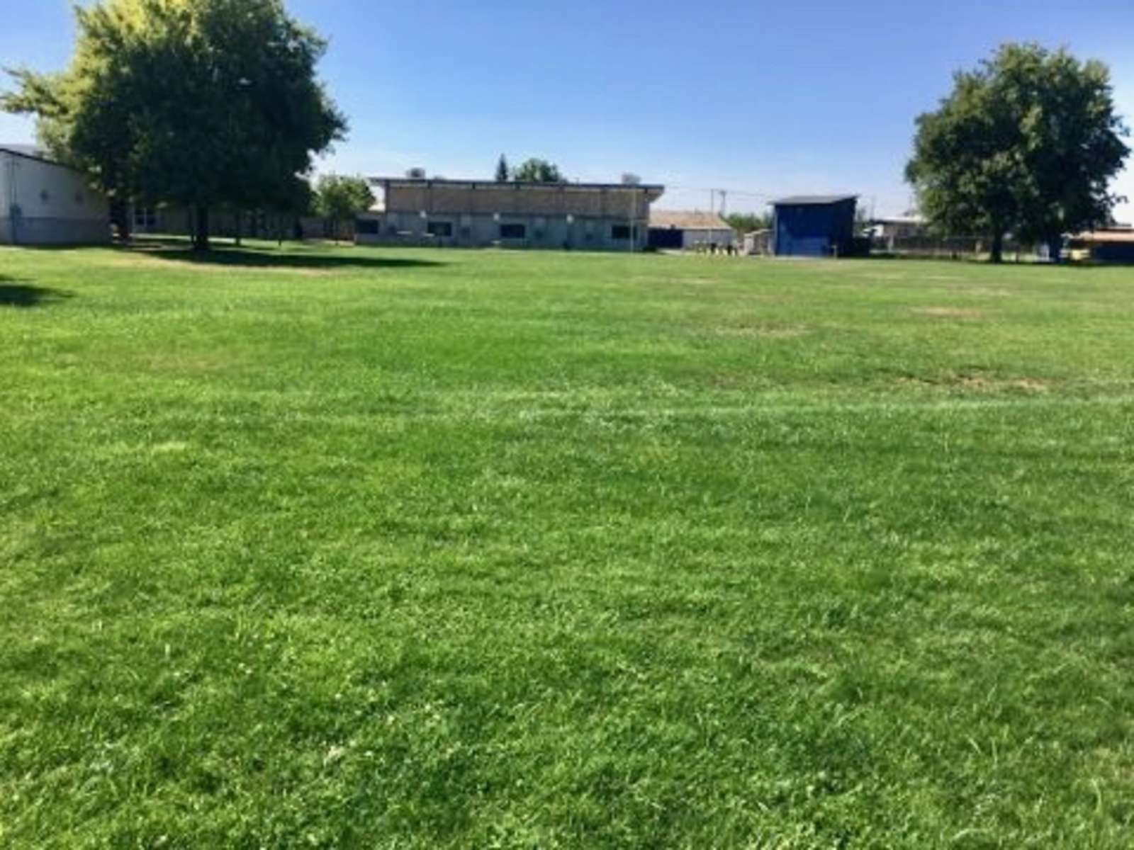 Rent a Field (Large) in Linden CA 95236