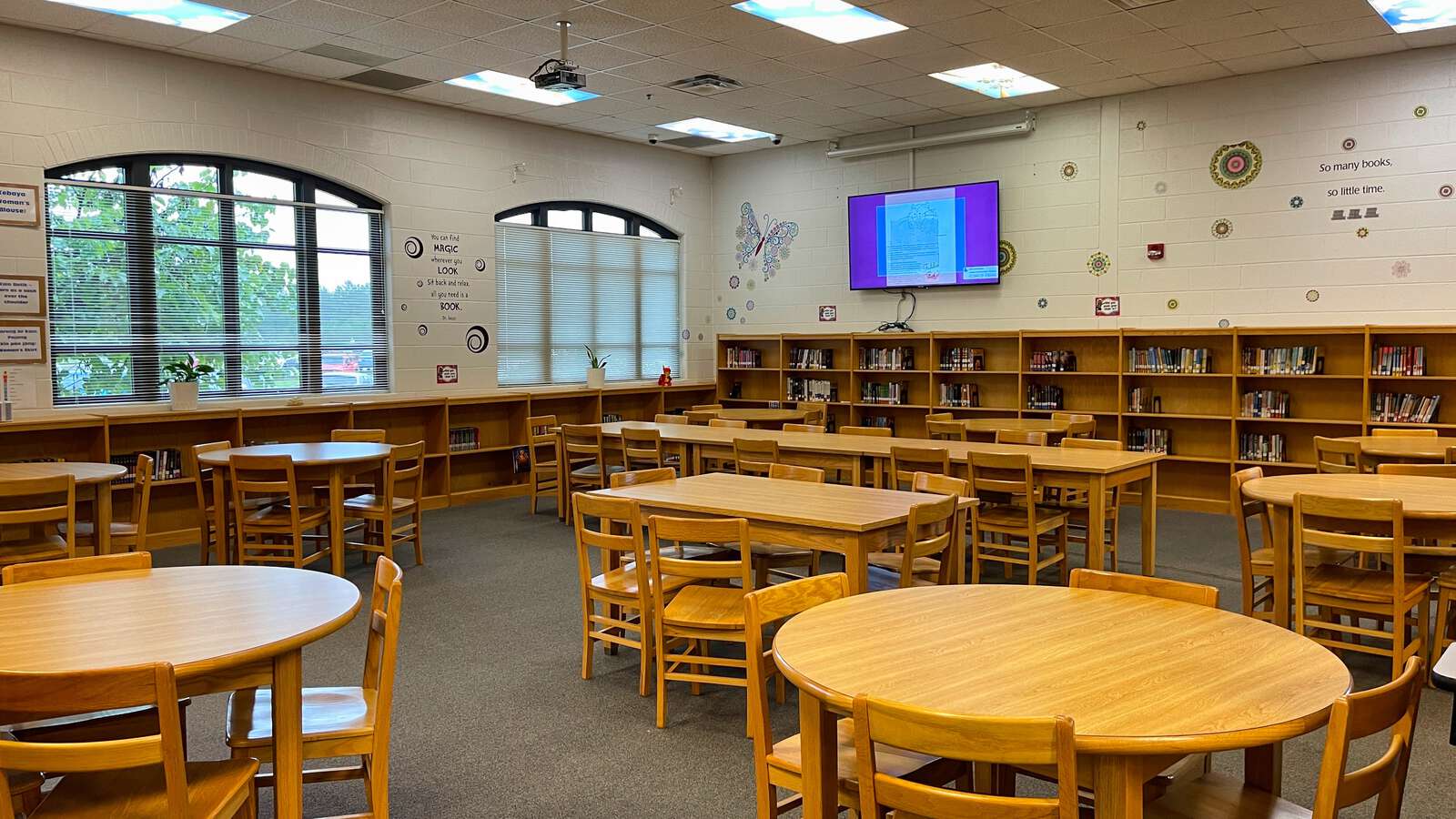 Rent a Library (Medium) in Ellijay GA 30536