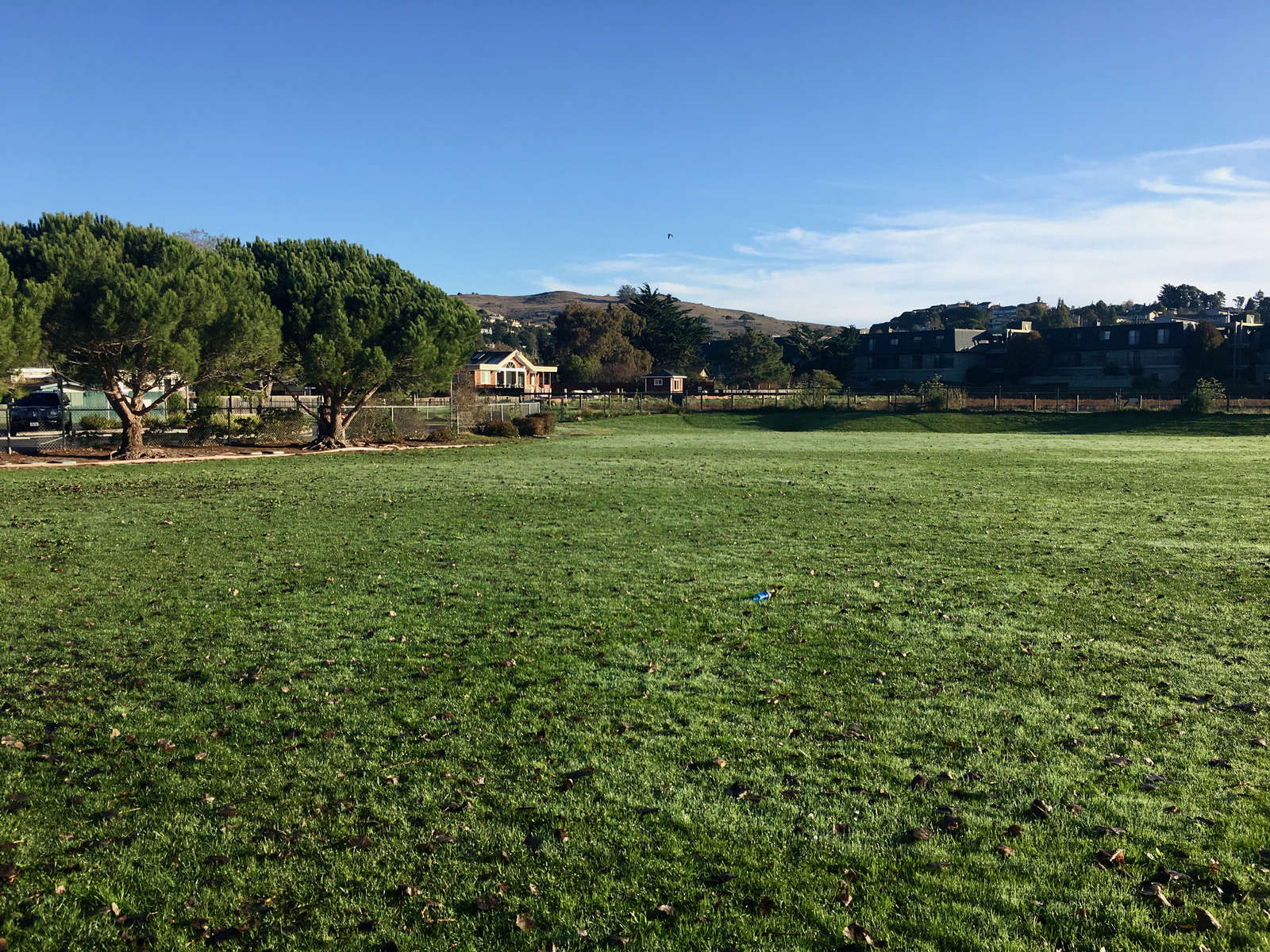 Rent a Field (Large) in Mill Valley CA 94941
