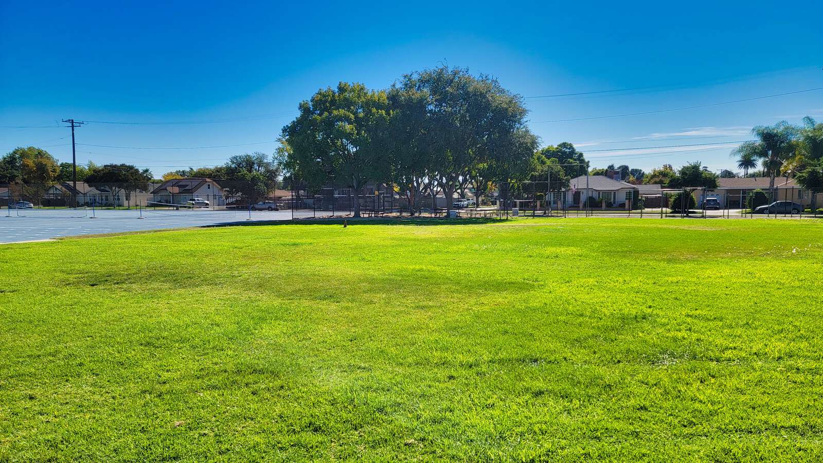 Rent a Field (Medium) in Ontario CA 91762