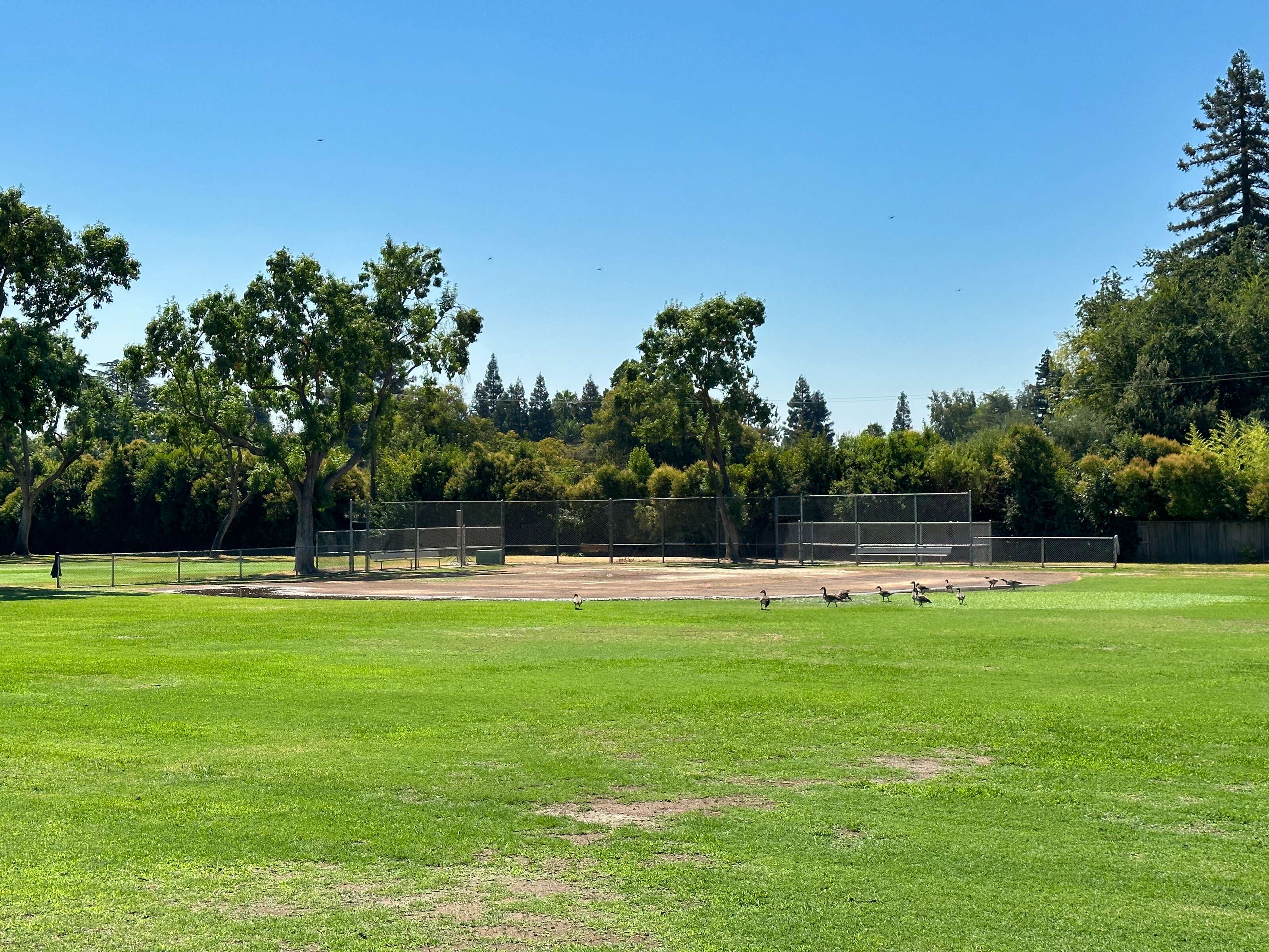Rent a Field (Baseball) in Fresno CA 93711