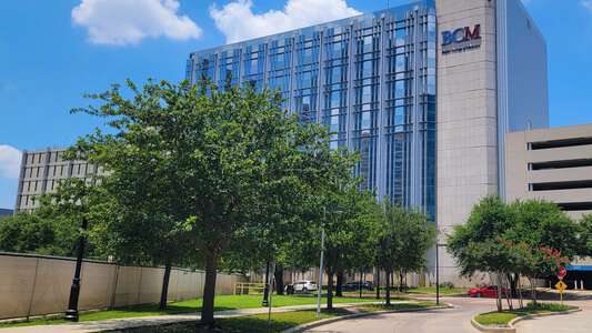 Baylor College Of Medicine Academy image