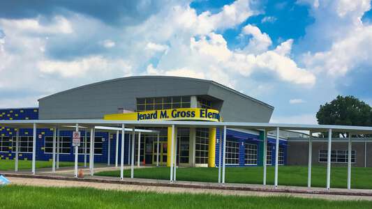 Gross Elementary image