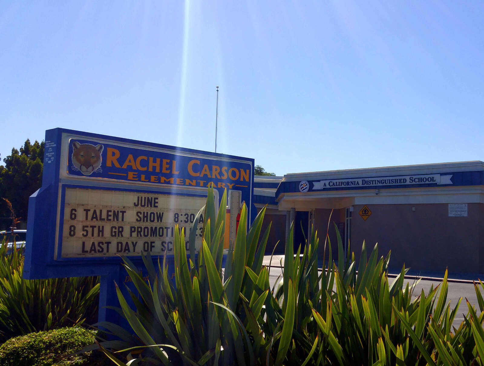 Rachel Carson Elementary in San Jose California Hero Image