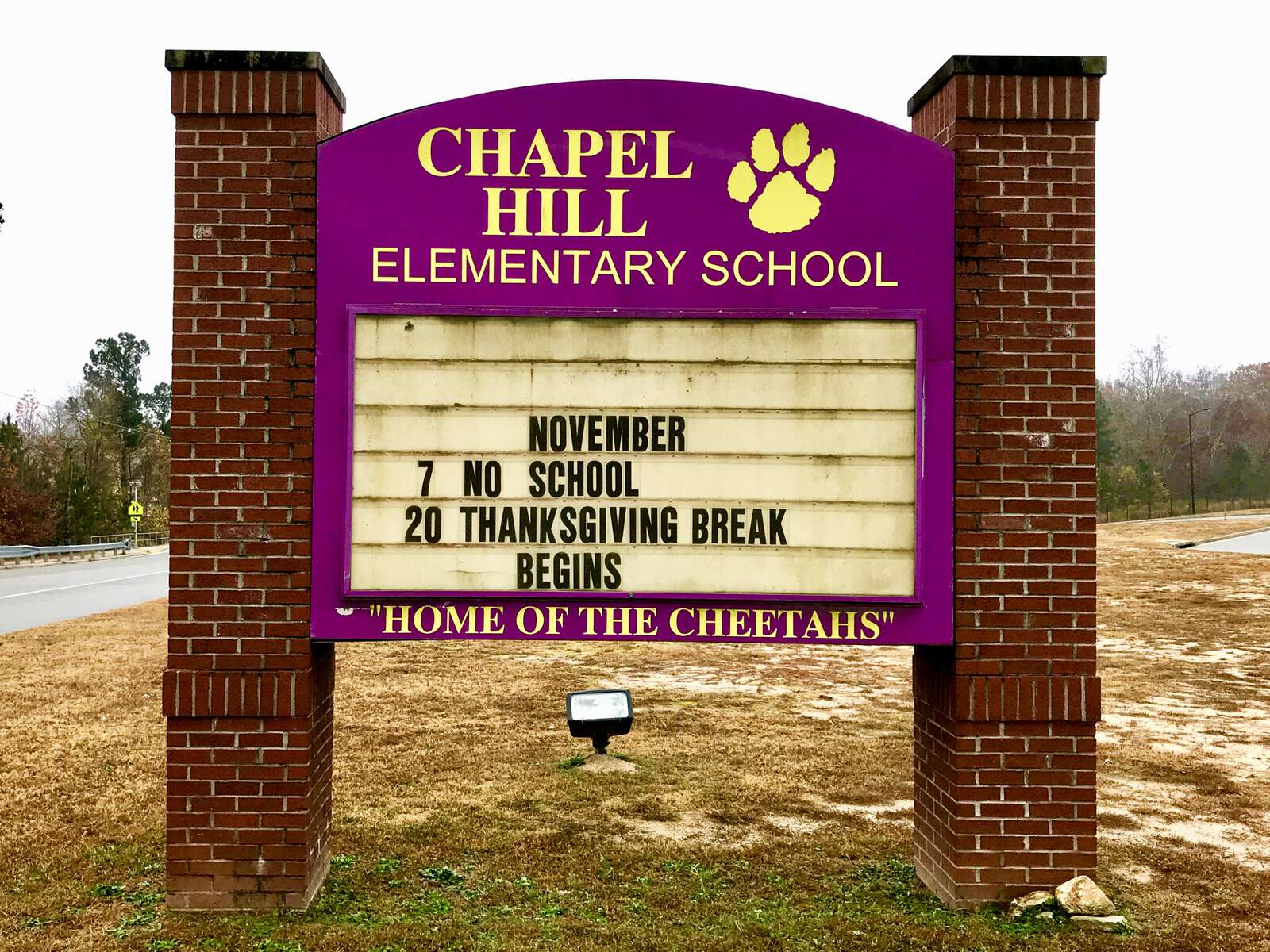 Chapel Hill Elementary in Douglasville Georgia Hero Image