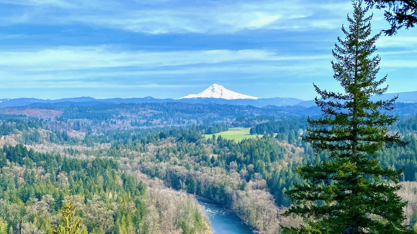 North Clackamas School District in Milwaukie Oregon Hero Image