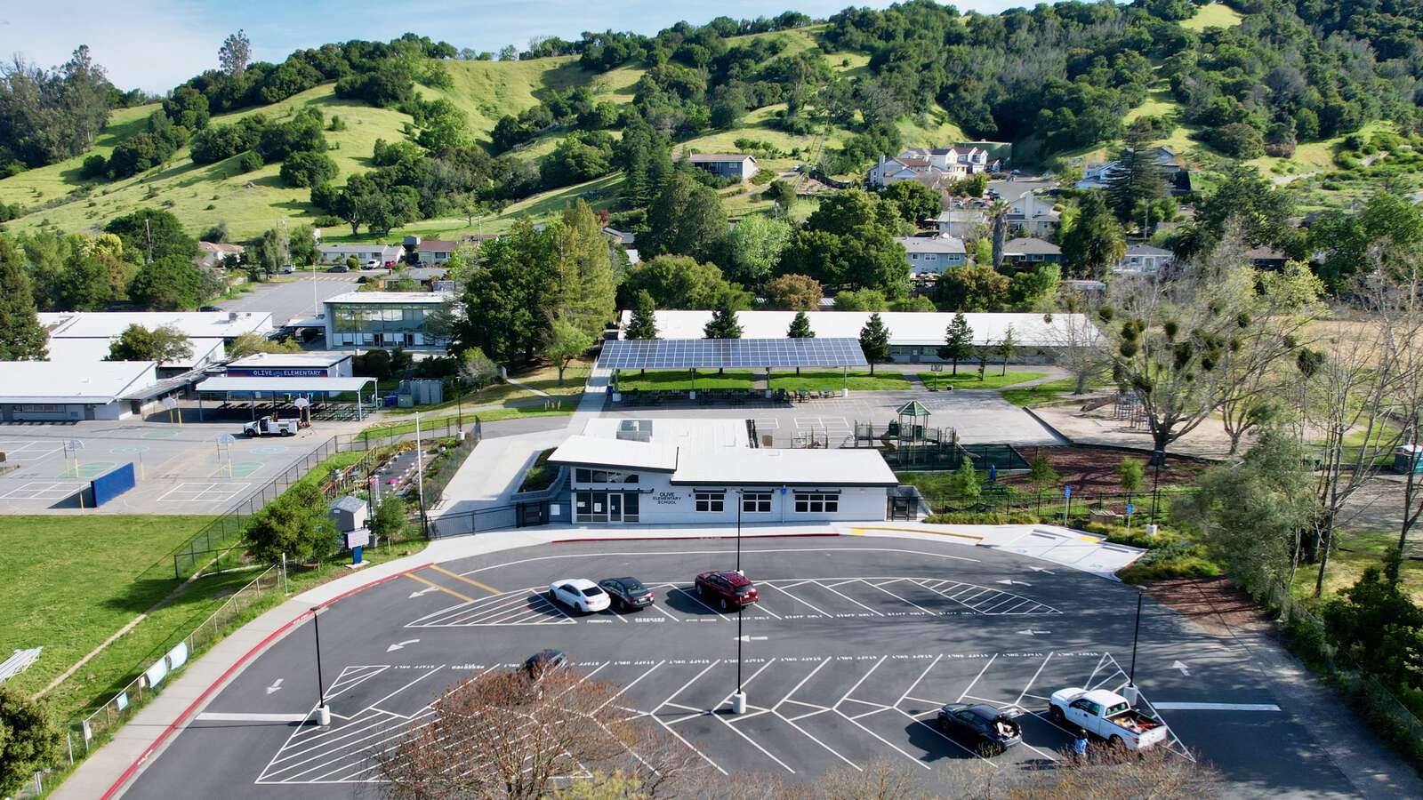 Olive Elementary School in Novato California Hero Image