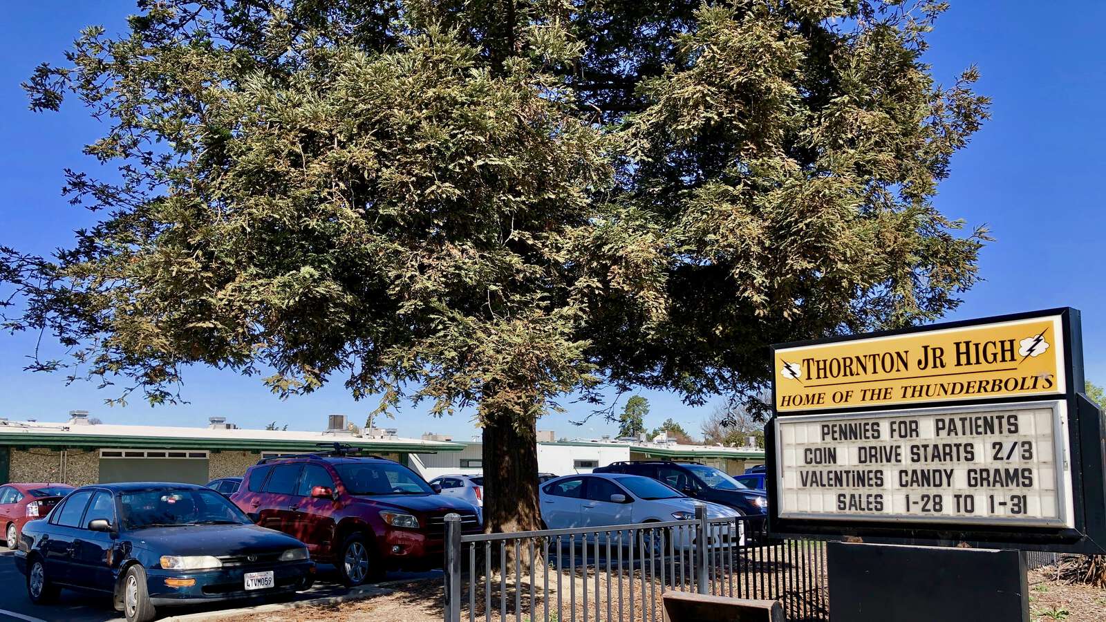 Thornton Middle School (FUSD) in Fremont California Hero Image