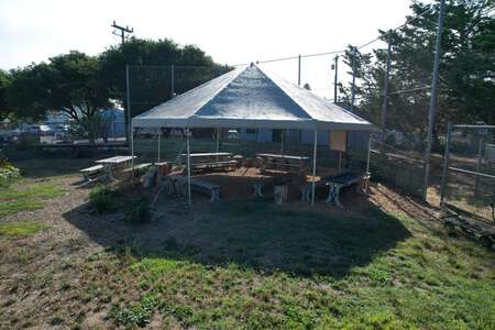 Del Mar Elementary School in Santa Cruz California - Garden Slideshow Image 3