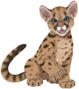 Carmelo School in Carmel-By-The-Sea California Logo