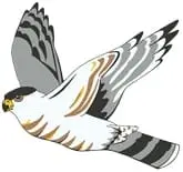 Captain Cooper Elementary School in Big Sur California Logo