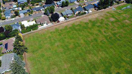Whiteaker Middle School Athletic Fields in Keizer 5