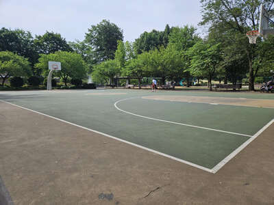 Weasel Brook Park Basketball Court 1 in Clifton