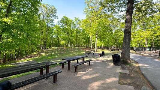 Rifle Camp Park Senior Picnic Area in Woodland Park 5