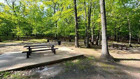 Rifle Camp Park Senior Picnic Area in Woodland Park 2