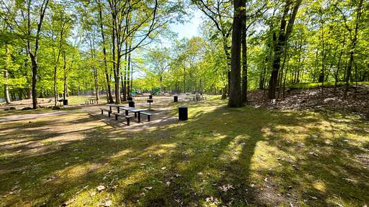 Rifle Camp Park Senior Picnic Area in Woodland Park 3