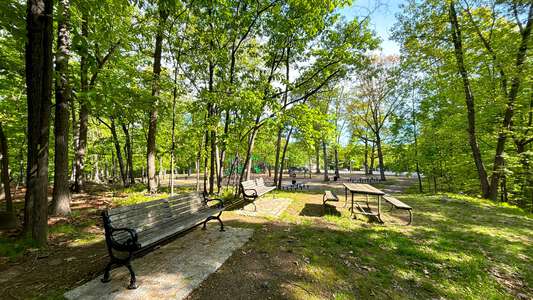 Rifle Camp Park Senior Picnic Area in Woodland Park 4