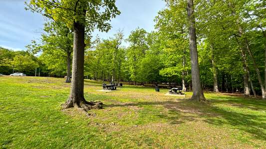 Rifle Camp Park Carnie Bragg Picnic Area in Woodland Park 1