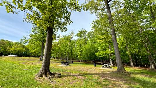 Rifle Camp Park Carnie Bragg Picnic Area in Woodland Park 5