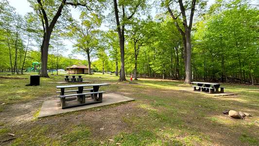 Rifle Camp Park Carnie Bragg Picnic Area in Woodland Park 4