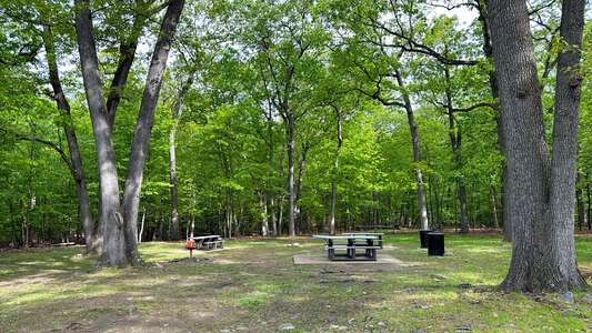 Rifle Camp Park Carnie Bragg Picnic Area in Woodland Park 2