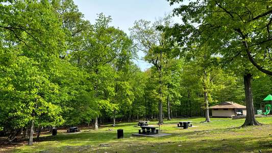 Rifle Camp Park Carnie Bragg Picnic Area in Woodland Park 3