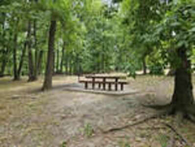 Garret Mountain Reservation Lower Tower Picnic Area & Pavilion in Woodland Park 2