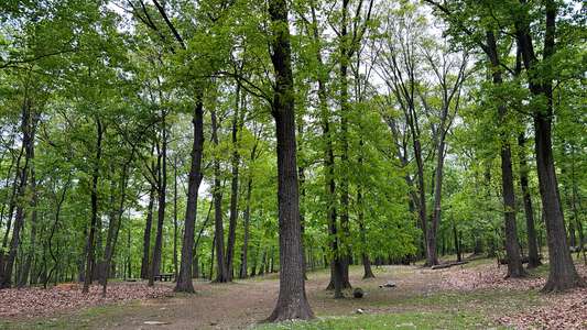 Garret Mountain Reservation Lower Tower Picnic Area & Pavilion in Woodland Park 3