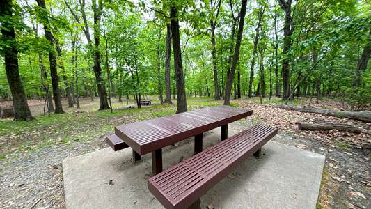 Garret Mountain Reservation Lower Tower Picnic Area & Pavilion in Woodland Park 5