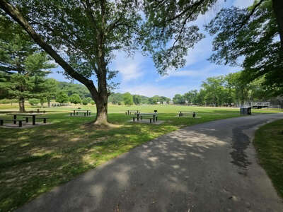 dog run picnic area 1-49 guests (1-5 hrs use) (5+ 50-75